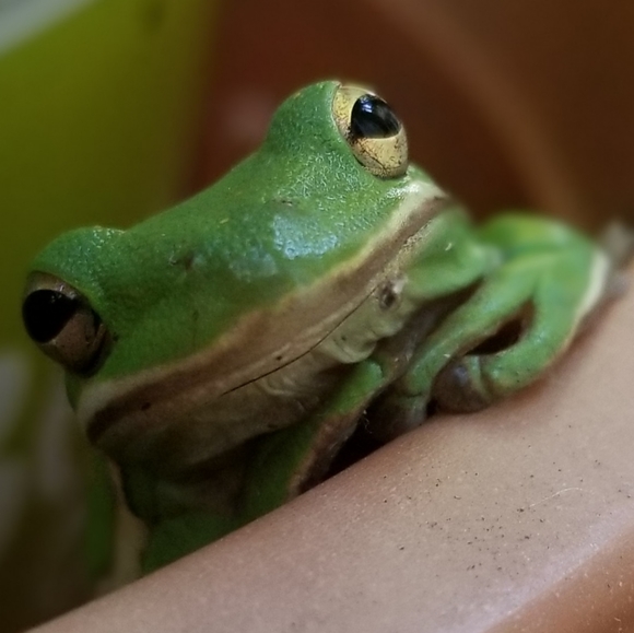 Meet your Posher, Melanie - Picture 3 of 7